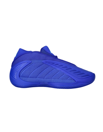 Adidas Anthony Edwards 2 JR. “Lucid Blue”
