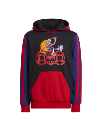 Adidas Basketblall Young Lil Stripe Hoodie "Black-Legacy Indigo"