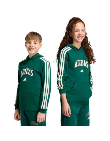 Adidas CODES COLLEGIATE GRAPHIC HOODIE "Green"