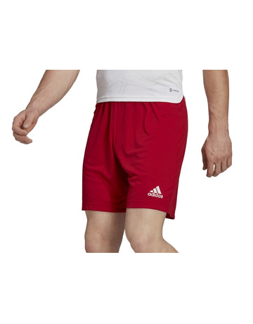 Adidas Entrada 22 Shorts "Team Power Red"