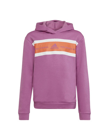 Adidas Girls Essentials Marke Love Warm Hoodie