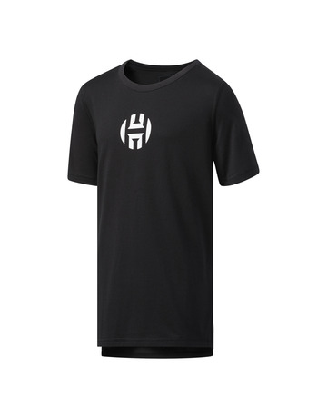Adidas Harden Heavy Logo Jugend Tee (schwarz)