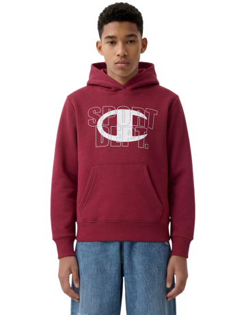 Champion Kids Graphic Logo Powerblend Fleece Hooded "Bordeaux"