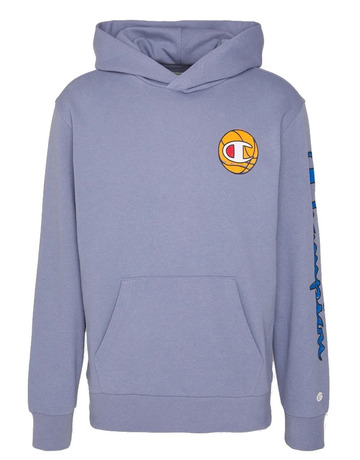 Champion Rochester Future Care Kapuzenpullover "Blauer Stahl"