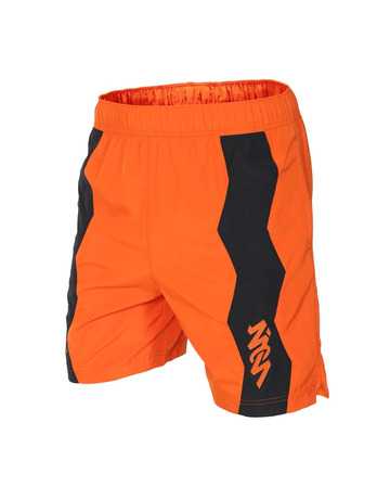 Jordan Dri-FIT Zion kurz