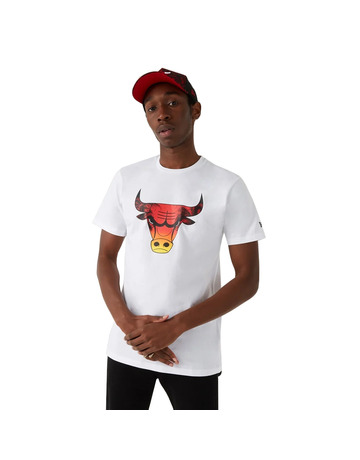 Neuzeit NBA Chicago Bulls Summer City Infill