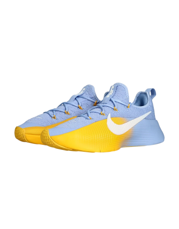 Nike LeBron TR 1