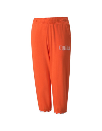 Puma Alpha 3/4 Hosen BT cl G