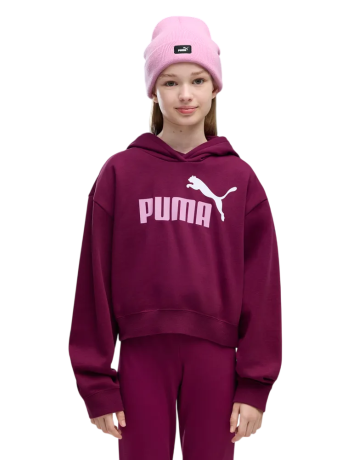 Puma ESS 2 COLOR No. 1 Logo​ Short Length Hoodie FL G "Fuchsia Glow"