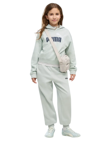 Puma ESS 2 COLOR Small No. 1 Logo Sweatpants FL G "Créme De Mint"