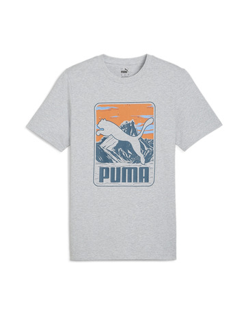 Puma GRAPHI Berg Tee "Grey"