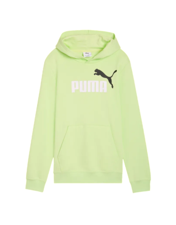 Puma ESS 2 COLOR Hoodie Logo " Apple Spritz"