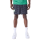 New Era NBA Boston Celtics All Over Print Graphic Shorts