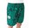 Neu Era NBA Boston Celtics Team Alle Over Print Shorts