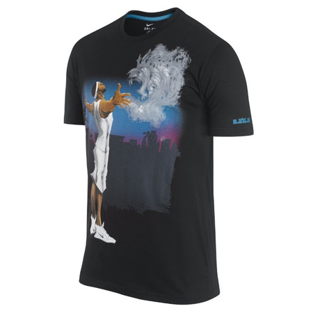 Camiseta Lebron Gemälde (010/schwarz)