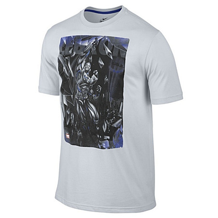 LeBron Is Carbonated (042/gris/royal)