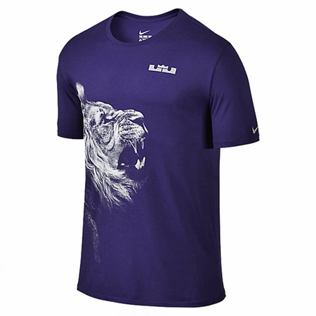 LeBron T-Shirt Arch (547/morning/white)