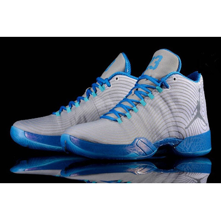 Air Jordan XX9 "Playoff Home" (104/blanco/azul)