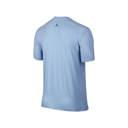 Jordan Air Jumpman T-Shirt (458/Ice/multicolor blau)