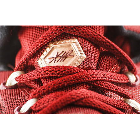 Lebron XIII "Cavaliers" (690/team rot/bronze/schwarz)
