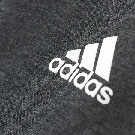 Adidas NBA Alle Stern 16 Chaqueta (gris)
