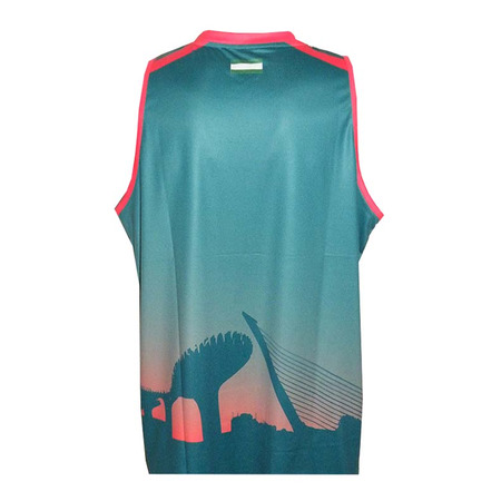 T-Shirt CDB Sevilla ACB 2015/16 (grün/rot)