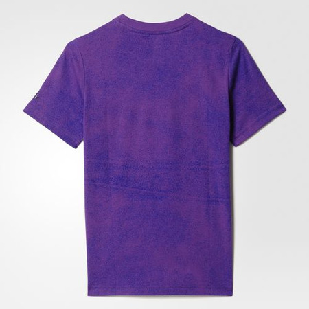 Adidas Camiseta Youth Real Madrid (grau lila/kristall weiß)