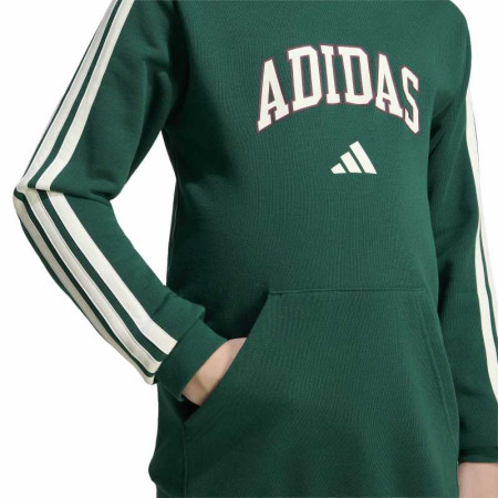 Adidas CODES COLLEGIATE GRAPHIC HOODIE "Green"
