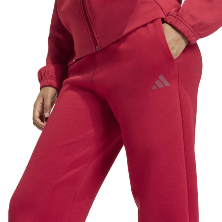 Adidas Future Icons Small Logo Pants "Red-Active maroon"