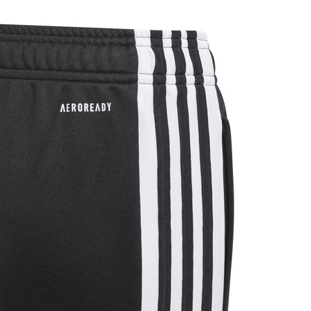 Adidas Junior Training Squadra 21 Hose "Schwarz