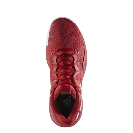 Adidas Mad Bounce "Shengelia"