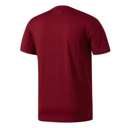 Adidas NBA Cleveland Cavaliers Graphic 4 Tee (Burdeos)