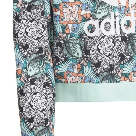 Adidas Originals Junior Zoo Hoodie (Multicolor)