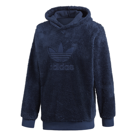 Adidas Originals Winterized P/O Hoodie