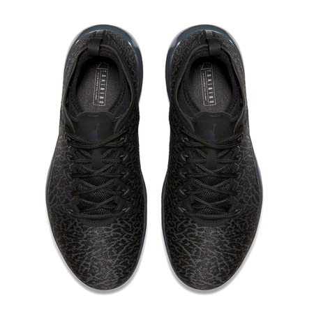Air Jordan Trainer 1 Low "Night Jimmy Butler" (002/black/black)