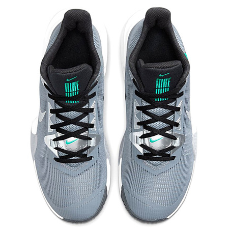 Air Max Impact 3 "C.G.G.