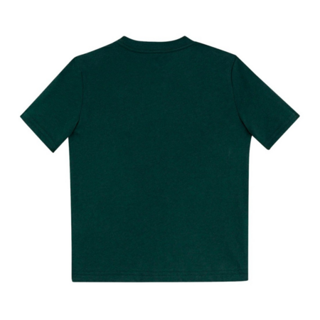 Camiseta Niña/Niño Jordan 88 City "Green "