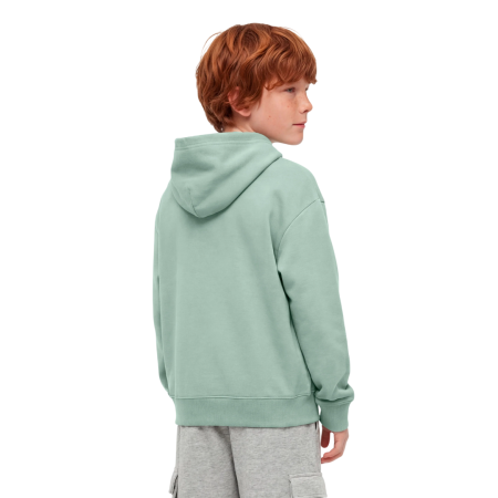 Champion Boys’ Hooded Sweatshirt with Puff Print "Honeydew"