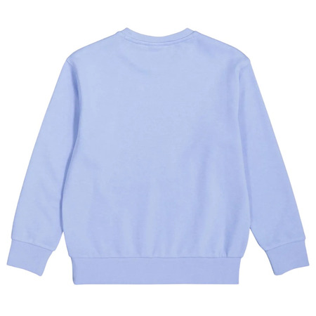 Champion Kids Basketball Flame Logo Crewneck Sweatshirt "Light blue"