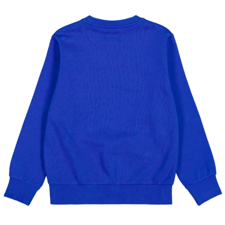 Champion Kids Big Logo Fleece Sweatshirt "Blau"
