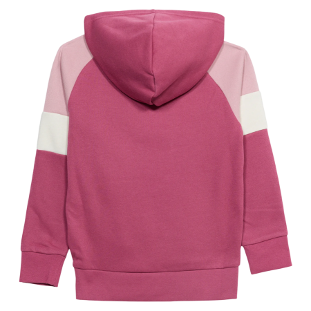 Champion Kids Colour Block Embroidery Logo Pullover Hoodie "Silken Raspberry-Pink"