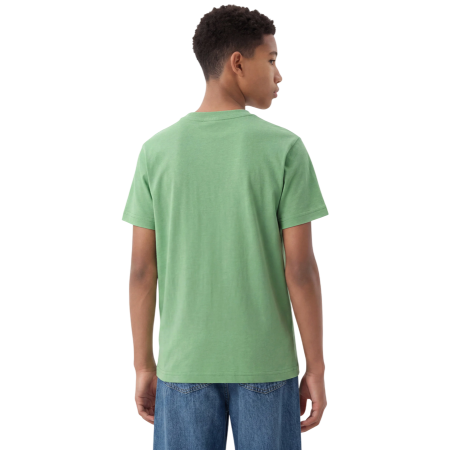 Champion Kids Graphic Logo Powerblend T-Shirt "Light Olive Green"