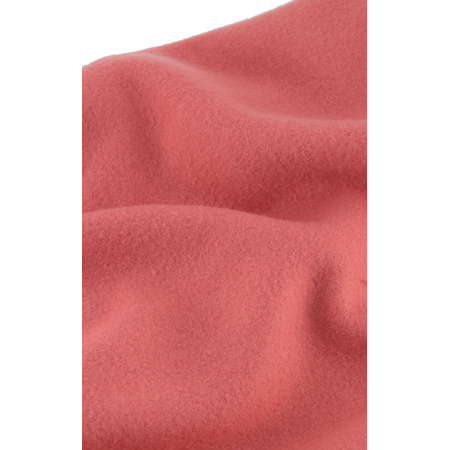 Champion Rochester Ton C Logo Fleece Hoodie "Red"