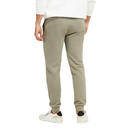 Guess Aldwin Long Pant Green.