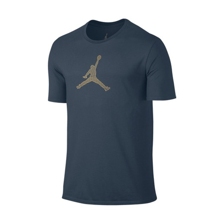 Jordan Camiseta entwickelt für Flug (464/squadron blau/wolf grau/metallic gold)