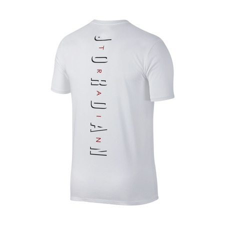 Jordan Future Dri Fit 3 Tee (100)