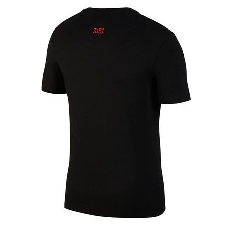 Jordan Sportswear 1988 Dunk T-Shirt (010)