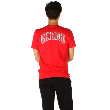 Neue Era Chicago Bulls FDR Tee