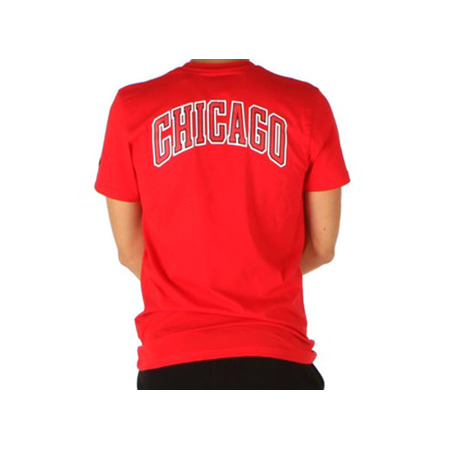 Neue Era Chicago Bulls FDR Tee