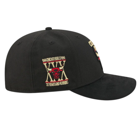 New Era NBA Chicago Bulls Golden Wool Pre-Curved 9FIFTY Snapback
